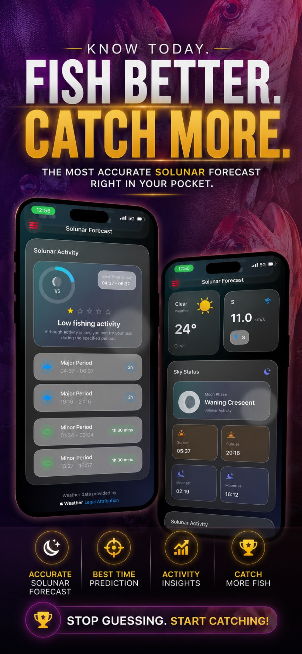 Fish Scope hero preview
