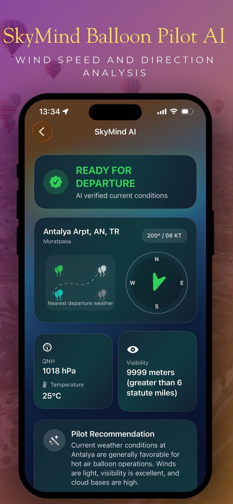 Hot Air Balloon Map AI assistant preview