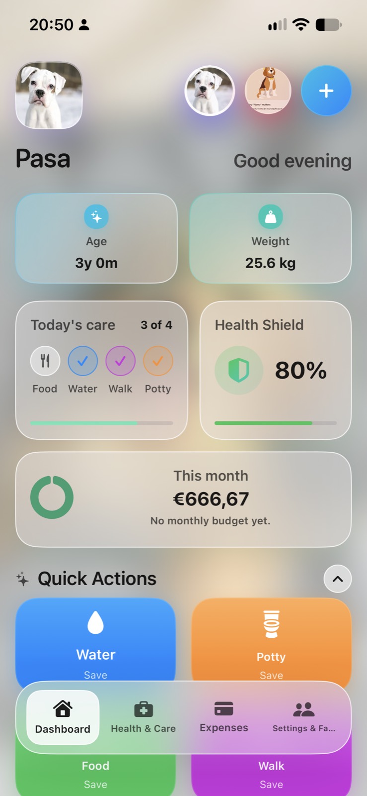 Puppivo dashboard with daily care, Health Shield, and monthly expenses