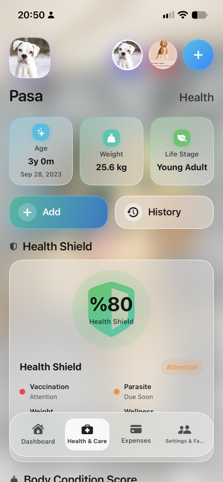 Puppivo Health Shield with vaccination and parasite status